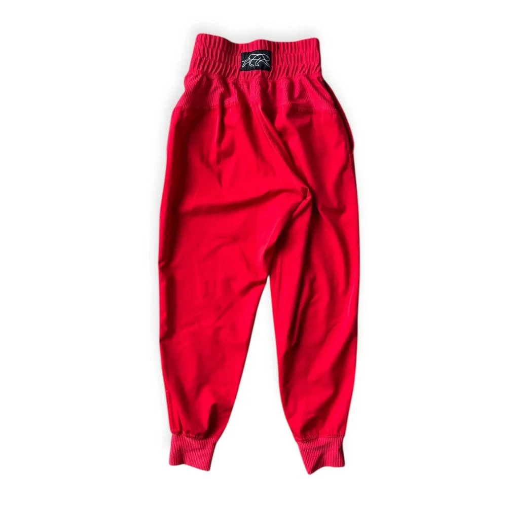 Tiger Friday Flex Jogger in Red Child Large - Picture 3 of 9